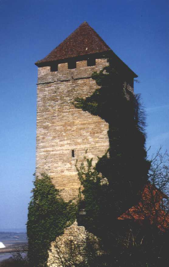 Bergfried der Kernburg auf Schlo� Liebenstein/Neckarwestheim   (r) 99 Frank Buchali